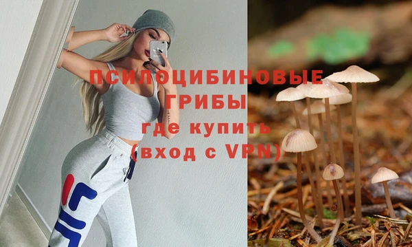 ECSTASY Аркадак