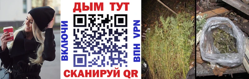 Бошки марихуана OG Kush  Купить  Гаврилов-Ям 
